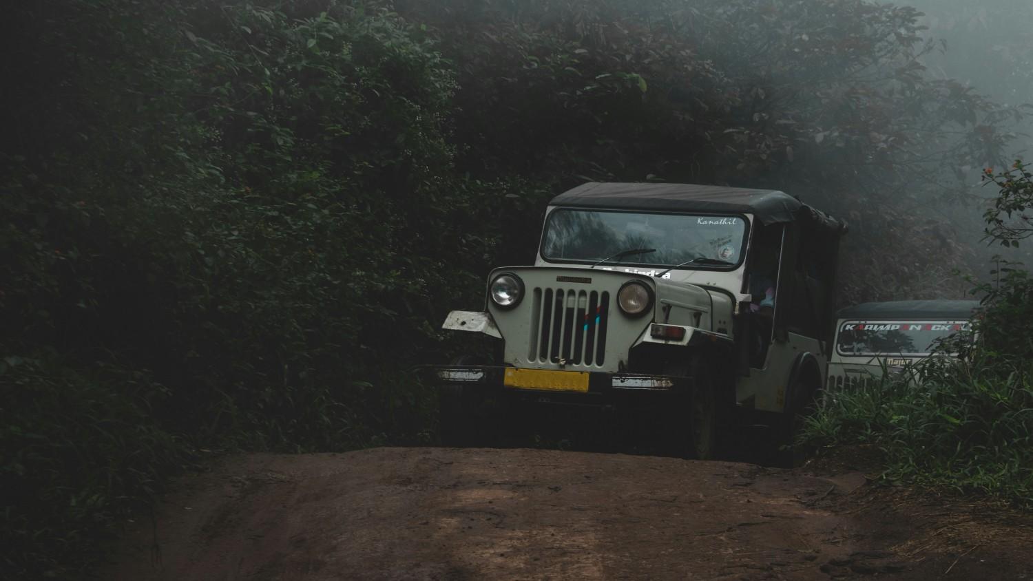 Full-Day Safari